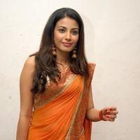 Kavya Shetty Cute Stills at Shivani Movie Audio Release | Picture 336530