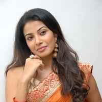 Kavya Shetty Cute Stills at Shivani Movie Audio Release | Picture 336536