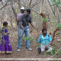 Bangaru Kodipetta Movie Photos | Picture 339375