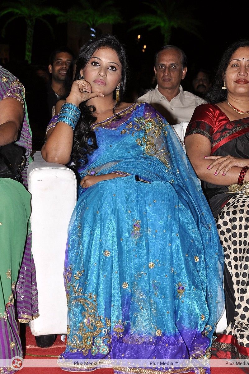 Anjali Saree Photos at SVSC Audio Launch | Picture 341857