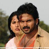 Bad Boy Telugu Movie Photos | Picture 343765