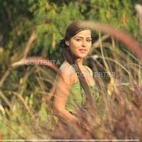 Priyanka Chabra - Athadu Aame O Scooter Movie New Stills