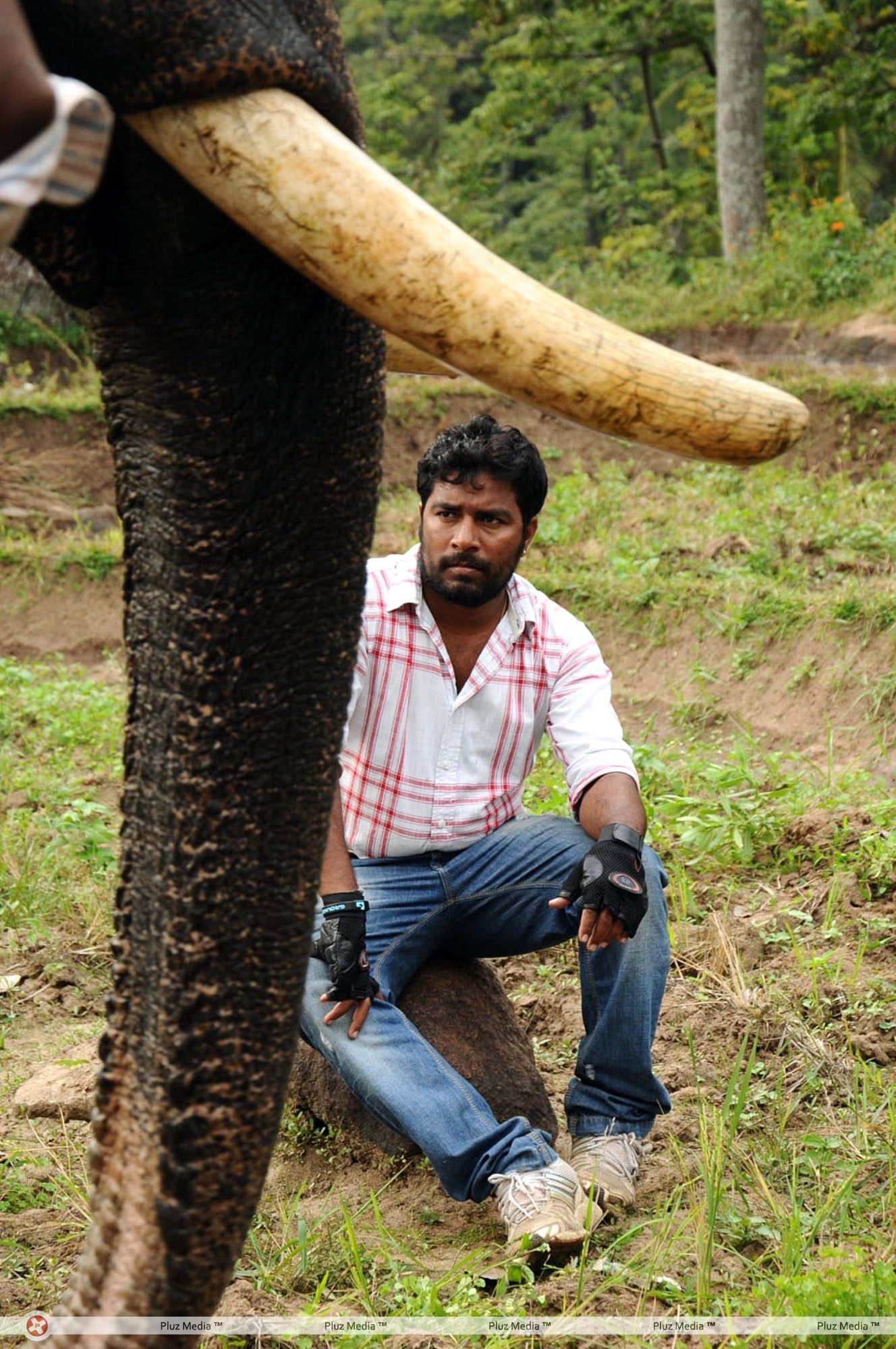 Gajaraju Telugu Movie Working Stills | Picture 345024