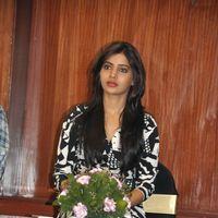 Samantha New Photos | Picture 345007