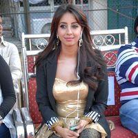 Sanjana Hot New Photos at Crescent Cricket Cup 2012 | Picture 347421