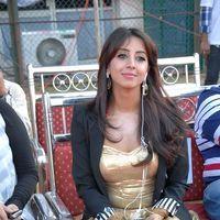 Sanjana Hot New Photos at Crescent Cricket Cup 2012 | Picture 347423