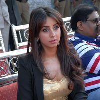 Sanjana Hot New Photos at Crescent Cricket Cup 2012 | Picture 347442