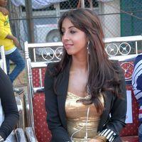 Sanjana Hot New Photos at Crescent Cricket Cup 2012 | Picture 347443
