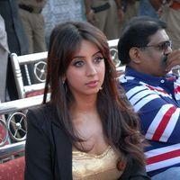 Sanjana Hot New Photos at Crescent Cricket Cup 2012 | Picture 347444