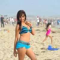 Sanjana Galrani Latest Hot Stills | Picture 350553