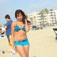 Sanjana Galrani Latest Hot Stills | Picture 350558