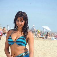 Sanjana Galrani Latest Hot Stills | Picture 350593