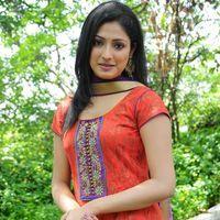 Haripriya New Stills | Picture 223331