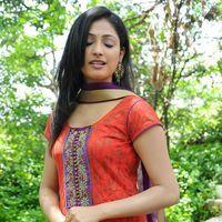 Haripriya New Stills | Picture 223332