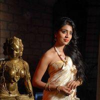 Shriya Hot Saree Stills | Picture 223984