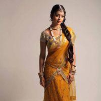Shriya Hot Saree Stills | Picture 223987