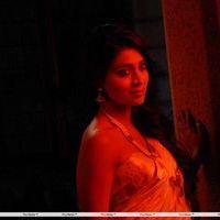 Shriya Hot Saree Stills | Picture 223993