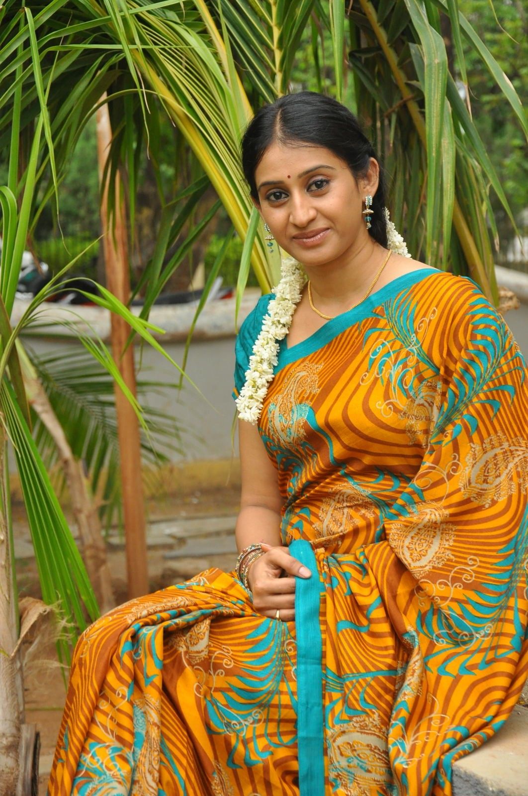 Actress Meena in Saree Stills | Picture 225023