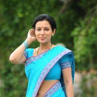 Asha Saini Saree Stills at Akasamlo Sagam Movie Press Meet | Picture 225891