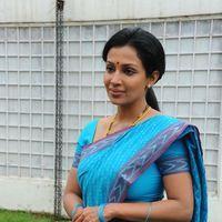 Asha Saini Saree Stills at Akasamlo Sagam Movie Press Meet | Picture 225901