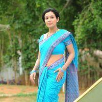 Asha Saini Saree Stills at Akasamlo Sagam Movie Press Meet | Picture 225954