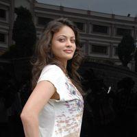 Sneha Ullal at Action With Entertainment Press Meet Stills  | Picture 226327