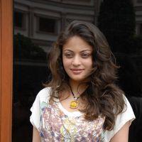 Sneha Ullal at Action With Entertainment Press Meet Stills  | Picture 226441