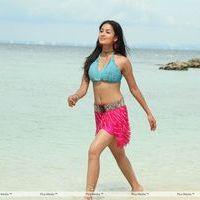 Vidisha - Vidisha Hot Stills in Devaraya Movie | Picture 231946