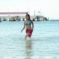 Vidisha - Vidisha Hot Stills in Devaraya Movie | Picture 231950