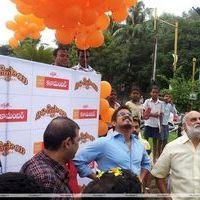Nagarjuna Launched Shirdi Sai Hoarding | Picture 236579
