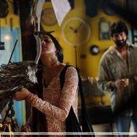 Andala Rakshasi Movie Latest Stills | Picture 237243
