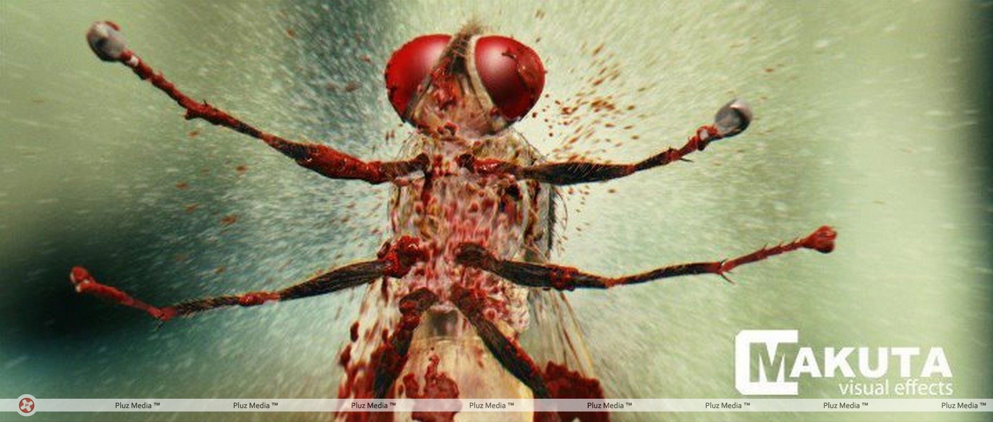 Eega Visual Effects Making Photos | Picture 240025