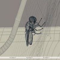 Eega Visual Effects Making Photos | Picture 240005
