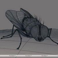 Eega Visual Effects Making Photos | Picture 240017