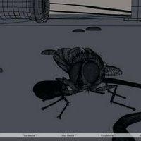 Eega Visual Effects Making Photos | Picture 240018