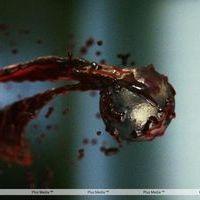 Eega Visual Effects Making Photos | Picture 240022
