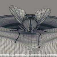Eega Visual Effects Making Photos | Picture 240026