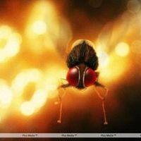 Eega Visual Effects Making Photos | Picture 240031