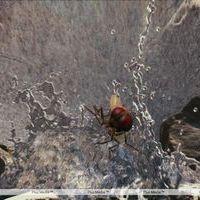 Eega Visual Effects Making Photos | Picture 240032