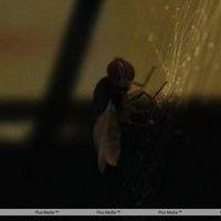 Eega Visual Effects Making Photos | Picture 240045