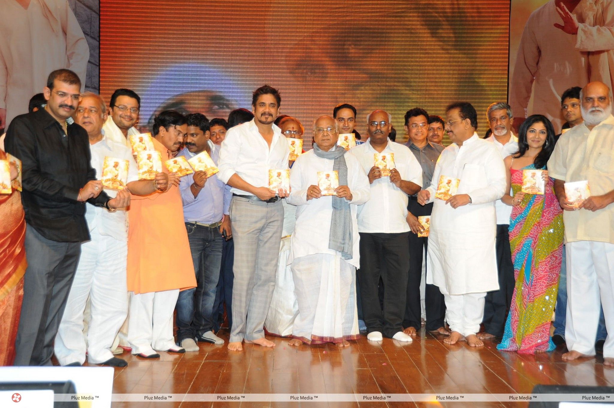 Nagarjuna Shirdi Sai Movie Audio Launch Photos | Picture 241441