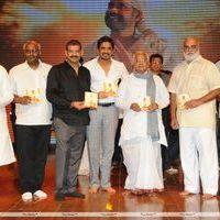 Nagarjuna Shirdi Sai Movie Audio Launch Photos | Picture 241422