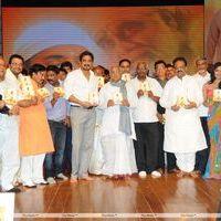 Nagarjuna Shirdi Sai Movie Audio Launch Photos | Picture 241440