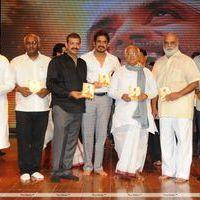 Nagarjuna Shirdi Sai Movie Audio Launch Photos | Picture 241443