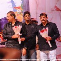 Nagarjuna Shirdi Sai Movie Audio Launch Photos | Picture 241374
