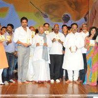 Nagarjuna Shirdi Sai Movie Audio Launch Photos | Picture 241450