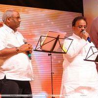Nagarjuna Shirdi Sai Movie Audio Launch Photos | Picture 241384