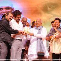 Nagarjuna Shirdi Sai Movie Audio Launch Photos | Picture 241455