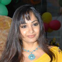 Madhavi Latha Launches Krish Collections | Picture 205452