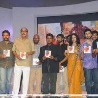Andhala Rakshasi telugu movie Audio Release Function Photos | Picture 205865